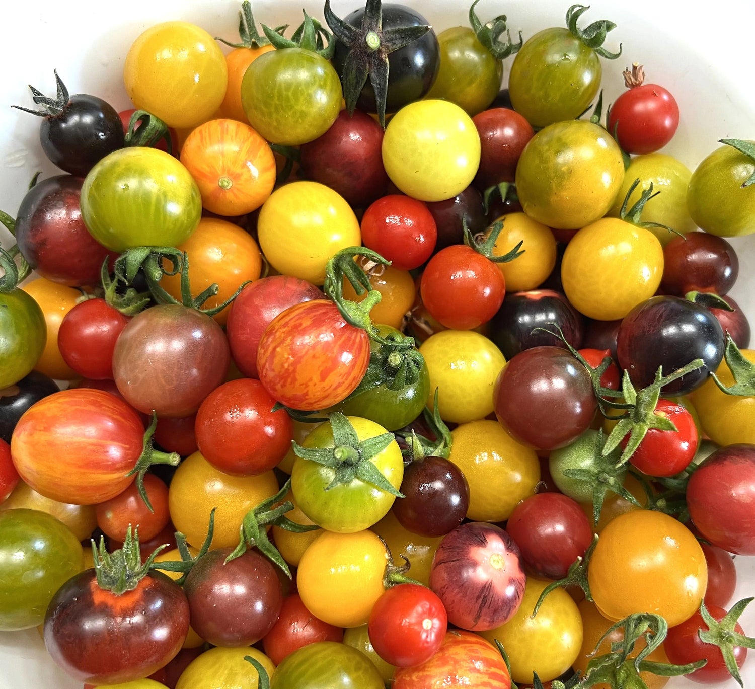Red Velvet Cherry Tomato Seeds – Heirloom, Non-GMO, High Germination Organic Garden Seeds