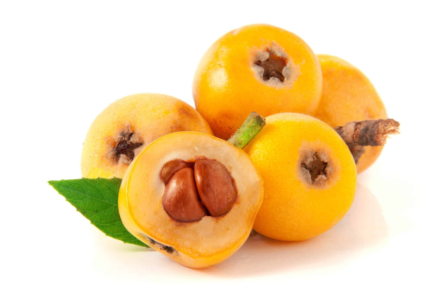 Loquat Fruit (Eriobotrya japonica)