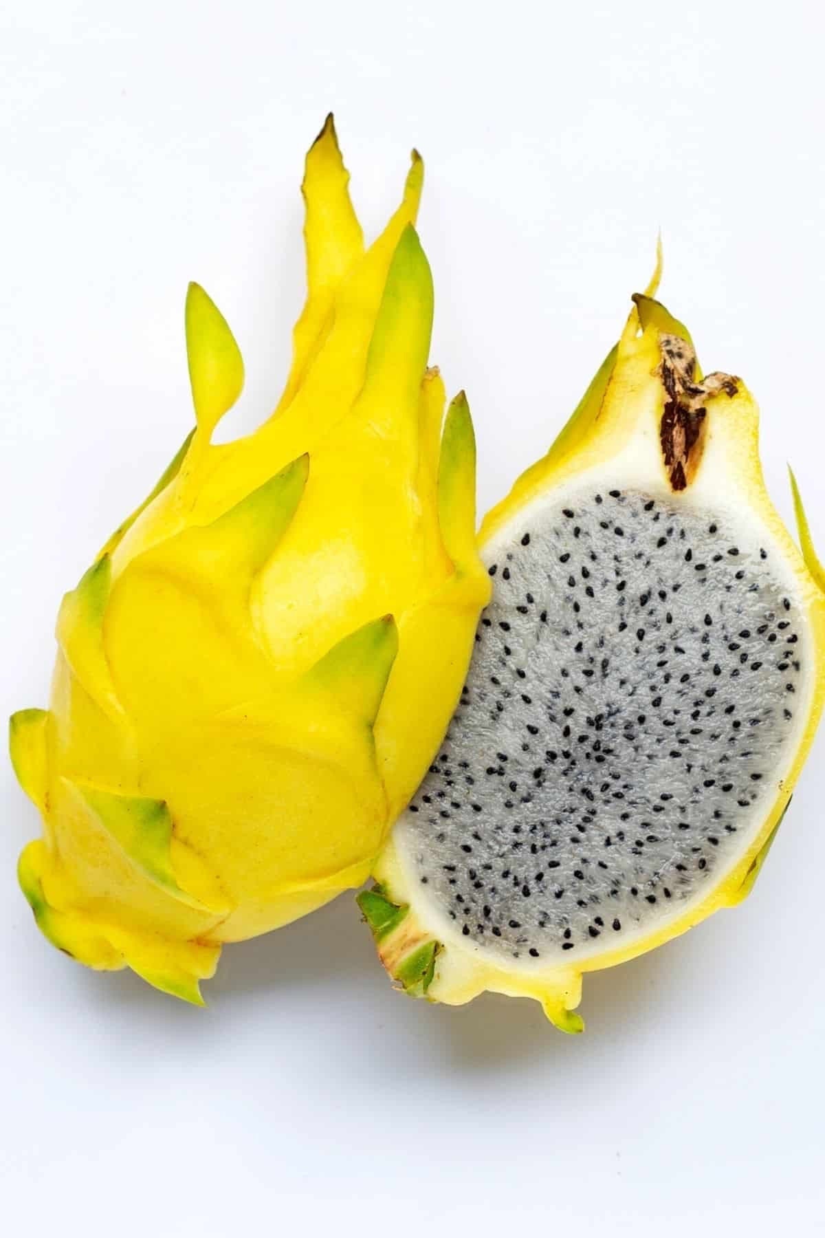 Yellow Dragon Fruit (Hylocereus megalanthus / Common Name: Yellow Dragon Fruit)