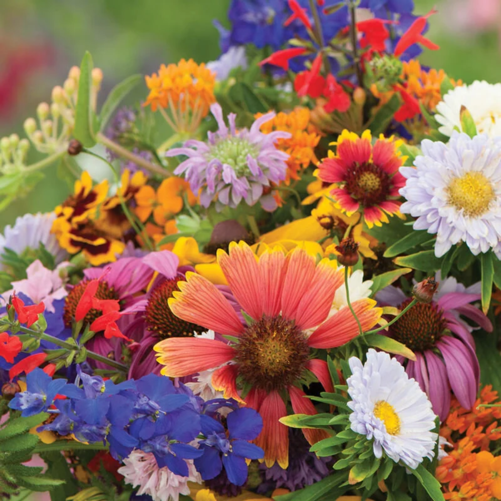 Flower Seed Mix - Attract Hummingbirds & Butterflies Oz Seeds – Heirloom, Non-GMO, High Germination Organic Garden Seeds