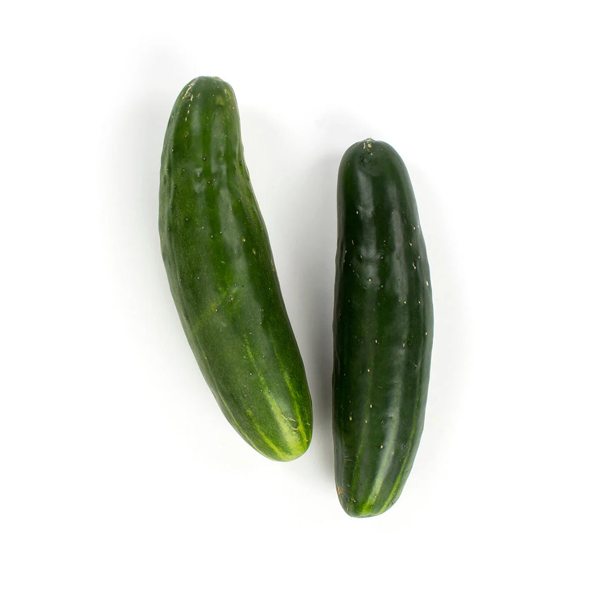 Park’s Select Slicer Hybrid Cucumber Seeds | Smooth Straight Crisp Slicing Cucumbers – Heirloom, Non-GMO, High Germination Organic Garden Seeds