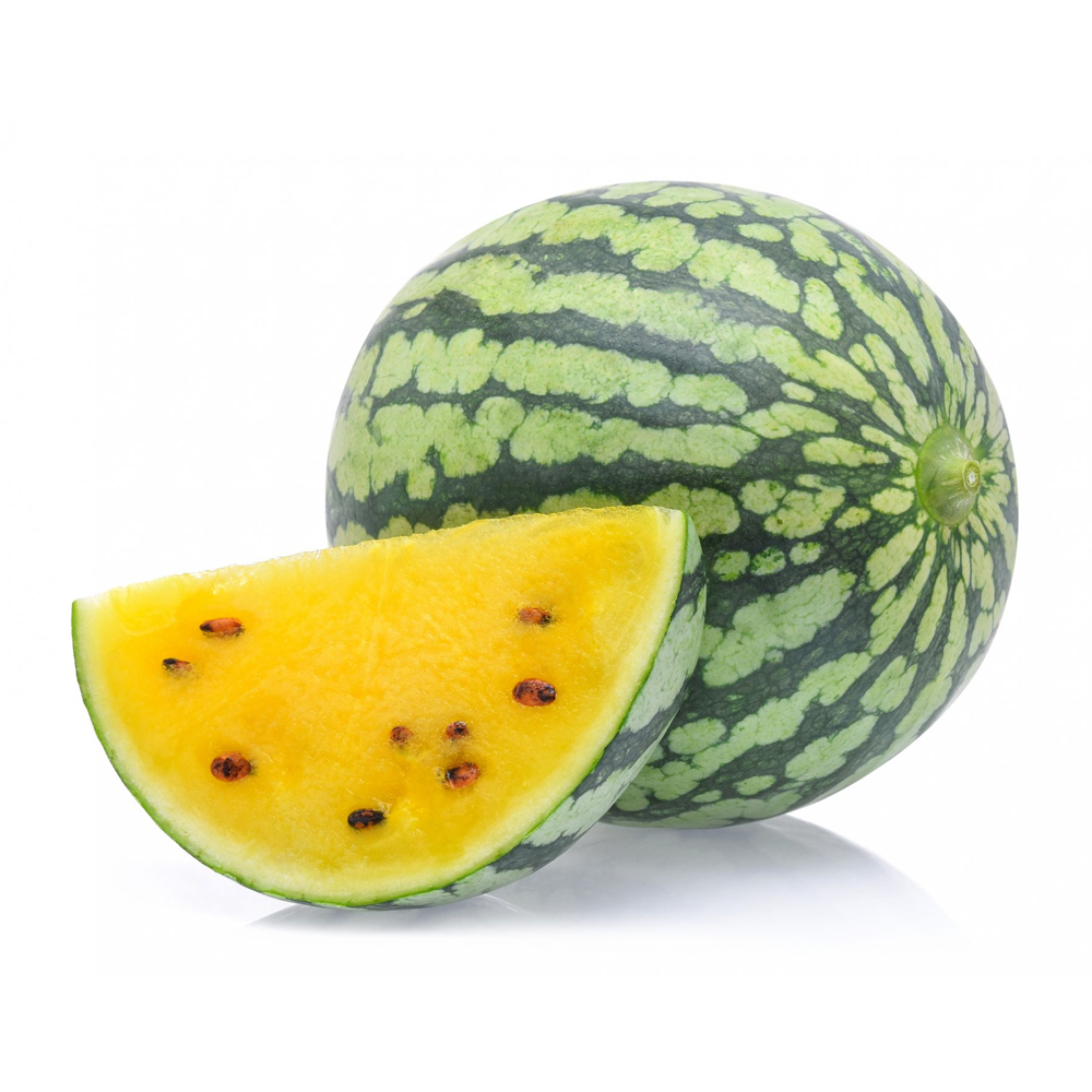 Yellow Watermelon (Citrullus lanatus / Common Name: Yellow Watermelon)