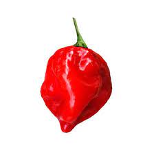 Red Hot Habanero Pepper Vegetable Seeds for Planting