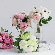 Camellia Mixed Colors Ornamental Flower Seeds