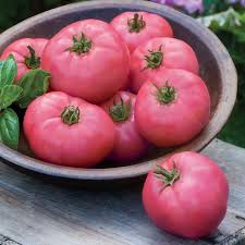 Tomato Seeds - Chef's Choice Pink F1