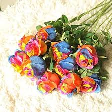 Rainbow rose seeds for DIY garden and striped rose bushes