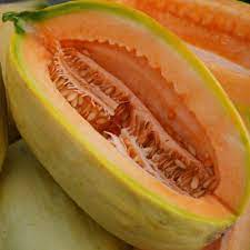 Gold banana melon fruit seeds