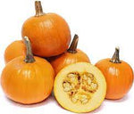 Baby Pam Pumpkin Cucurbita pepo seeds for garden planting