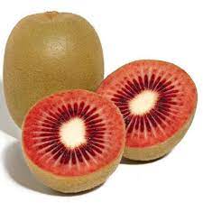 Ruby red kiwi Actinidia chinensis seeds for urban garden