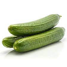 Beit Alpha cucumber Cucumis sativus seeds for planting in vegetable patch