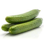 Beit Alpha cucumber Cucumis sativus seeds for planting in vegetable patch