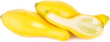 Crookneck Yellow Squash Cucurbita pepo seeds for garden planting