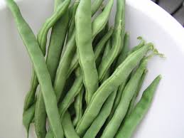Kentucky Wonder Pole Bean Seeds – Heirloom, Easy to Grow, Non-GMO for Garden & Container Planting