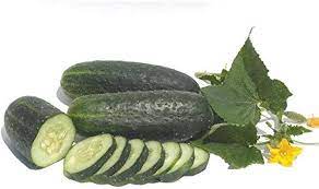 Cucumber Hunt F1 Cucumis sativus vegetable seeds for planting in backyard gardening