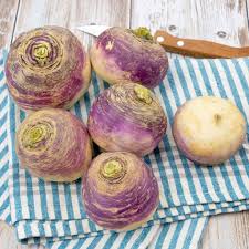 Rutabaga 'American Purple Top' Seeds for Garden and Container Planting