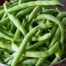 Bean Seeds (Bush) - Tendergreen