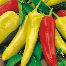 Pepper Capsicum Annuum Hungarian Wax Vegetable Seeds for Planting – Perfect for Spicy Kitchen Garden and High Yield