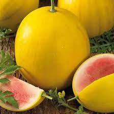 Mixed Rare Chinese Watermelon Seeds Citrullus lanatus for Planting in Garden & Vegetable Patch