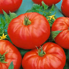 Tomato Marmeladnyy Solanum lycopersicum vegetable seeds for planting in kitchen garden