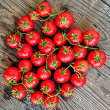 Cherry Tomato Lapochka Solanum lycopersicum vegetable seeds for planting in home garden or container garden