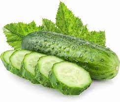 Cucumber Hunt F1 Cucumis sativus vegetable seeds for planting in backyard gardening