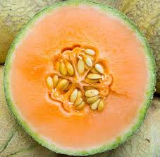 Honeydew Melon Seeds Cucumis melo for Planting in Home Garden