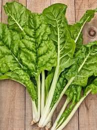 Fordhook Swiss Chard Green Swiss Chard Plant Seeds