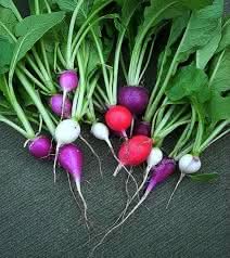 Rainbow Radish Seeds for Planting