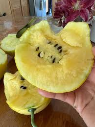 Lemon Drops Melon Cucumis melo Seeds for Planting in Garden & Orchard