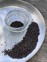 Sage Salvia Officinalis seeds for aromatic herbs