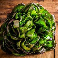 Lettuce Seeds - Bronze Mignonette