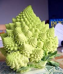 Broccoli Brassica Oleracea Italia Romanesco Non-GMO Organic Vegetable Seeds for Planting – Ideal for Kitchen Garden and Fresh Harvest