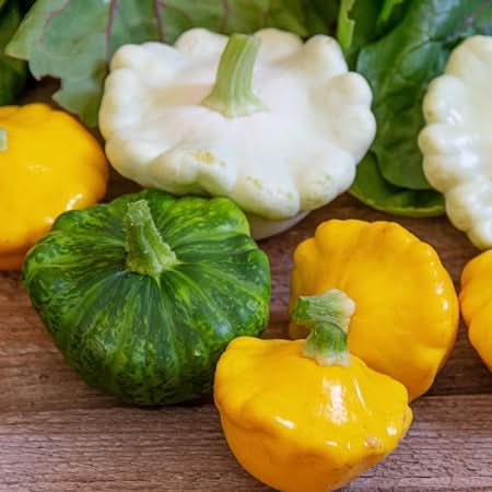 Mixed Patty Pan Seeds for Planting heirloom & Non-GMO Seeds
