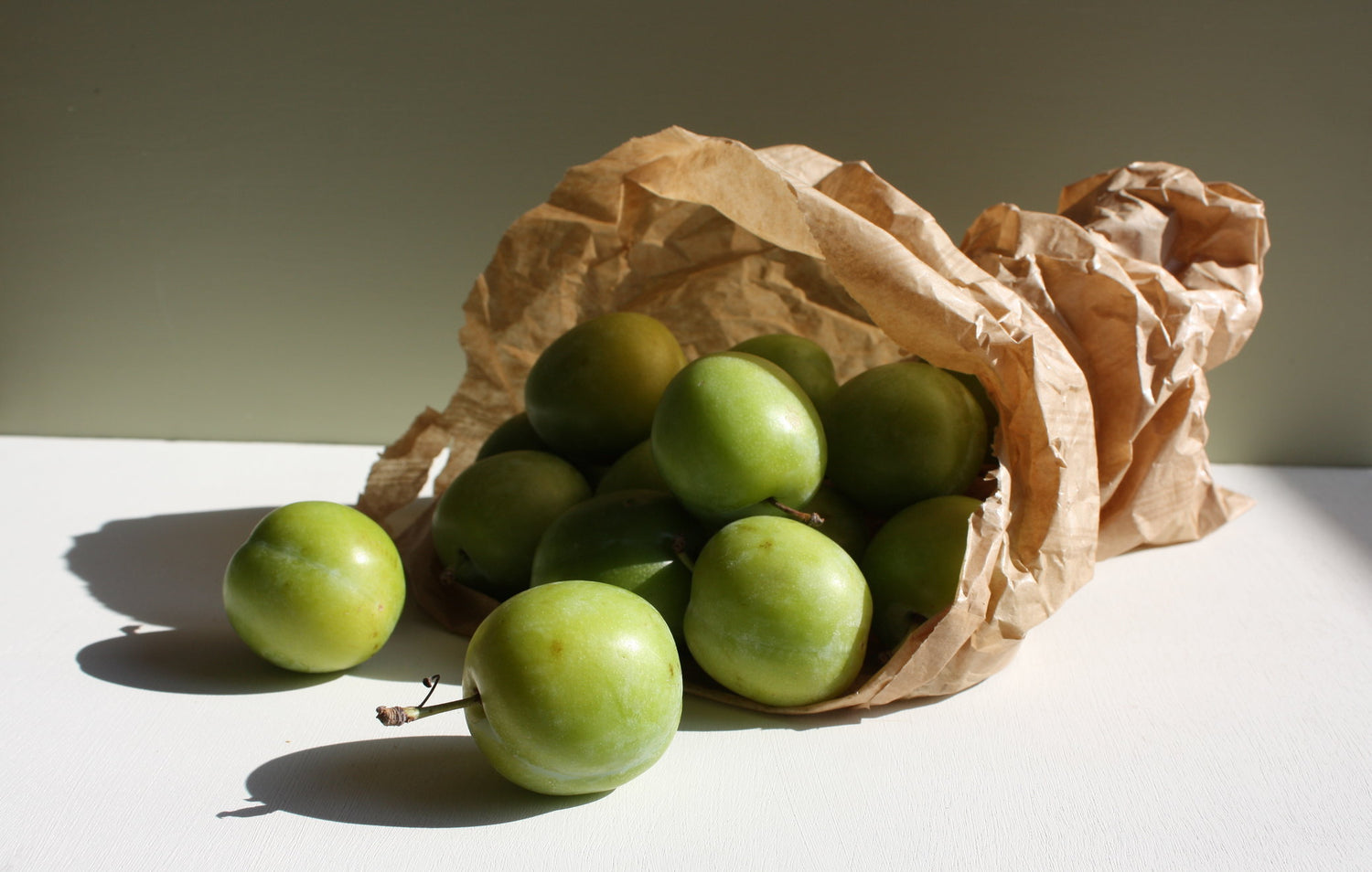 Greengage Plum (Prunus domestica)