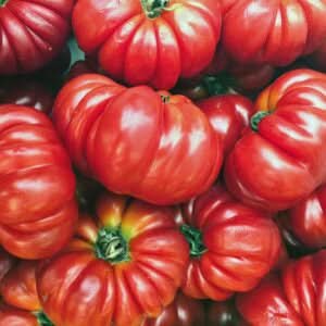 Giant Oxheart Tomato Vegetable Seeds for Planting - Non-GMO Garden Seeds