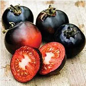 Indigo Rose Tomato Solanum lycopersicum vegetable seeds for planting in shaded kitchen garden beds - Dharaseeds