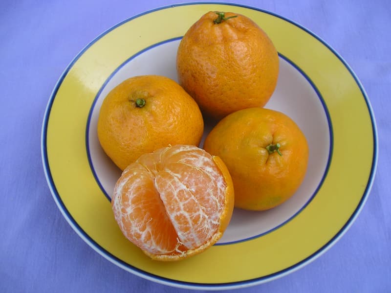 Ponkan Fruit (Citrus reticulata) – Sweet and Juicy Tangerine Variety