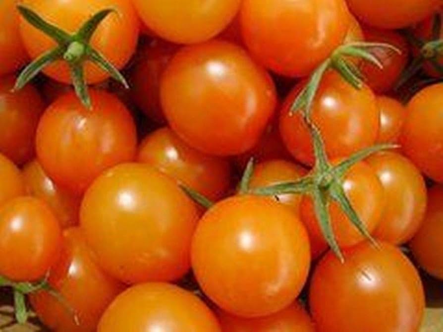 Isis Candy Tomato Seeds – Sweet Cherry Heirloom with Marbled Skin - Dharaseeds