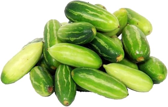 Ivy Gourd Seeds for Planting, 100 Pcs pcs - Dharaseeds