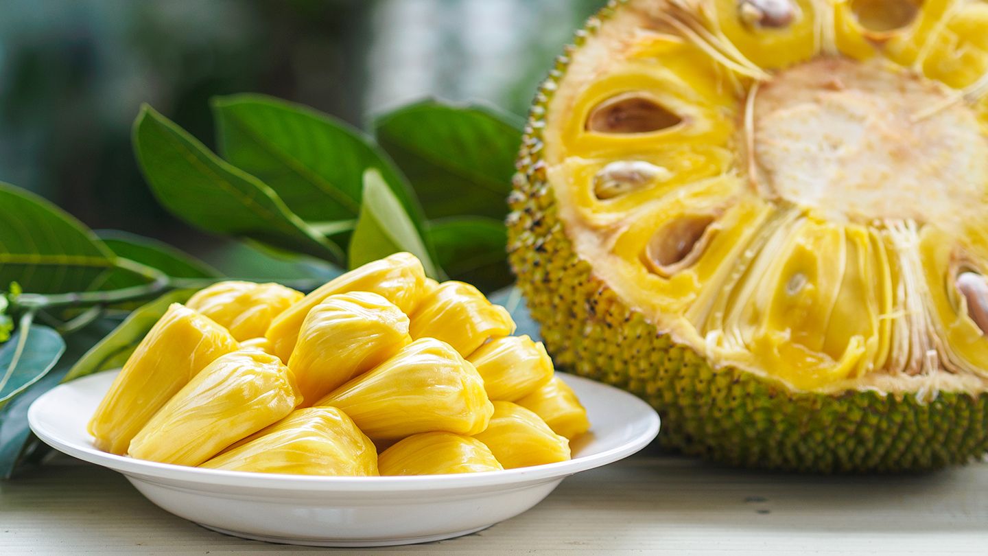 Yaca (Artocarpus heterophyllus / Common Name: Jackfruit)