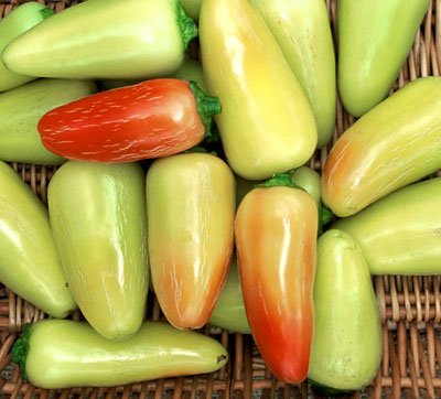 Jaloro Pepper Capsicum annuum vegetable seeds for planting in home salsa or pepper gardens - Dharaseeds