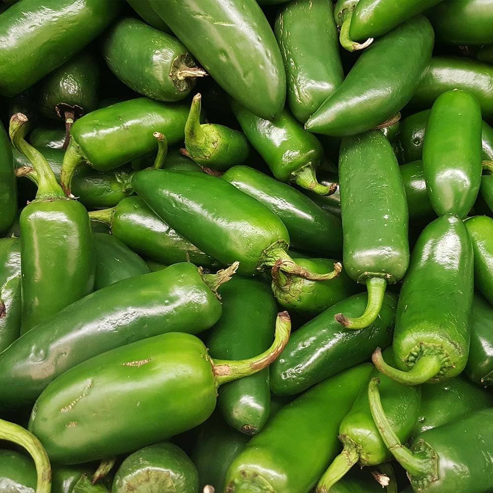 Jaloro Pepper Capsicum annuum vegetable seeds for planting in home salsa or pepper gardens - Dharaseeds