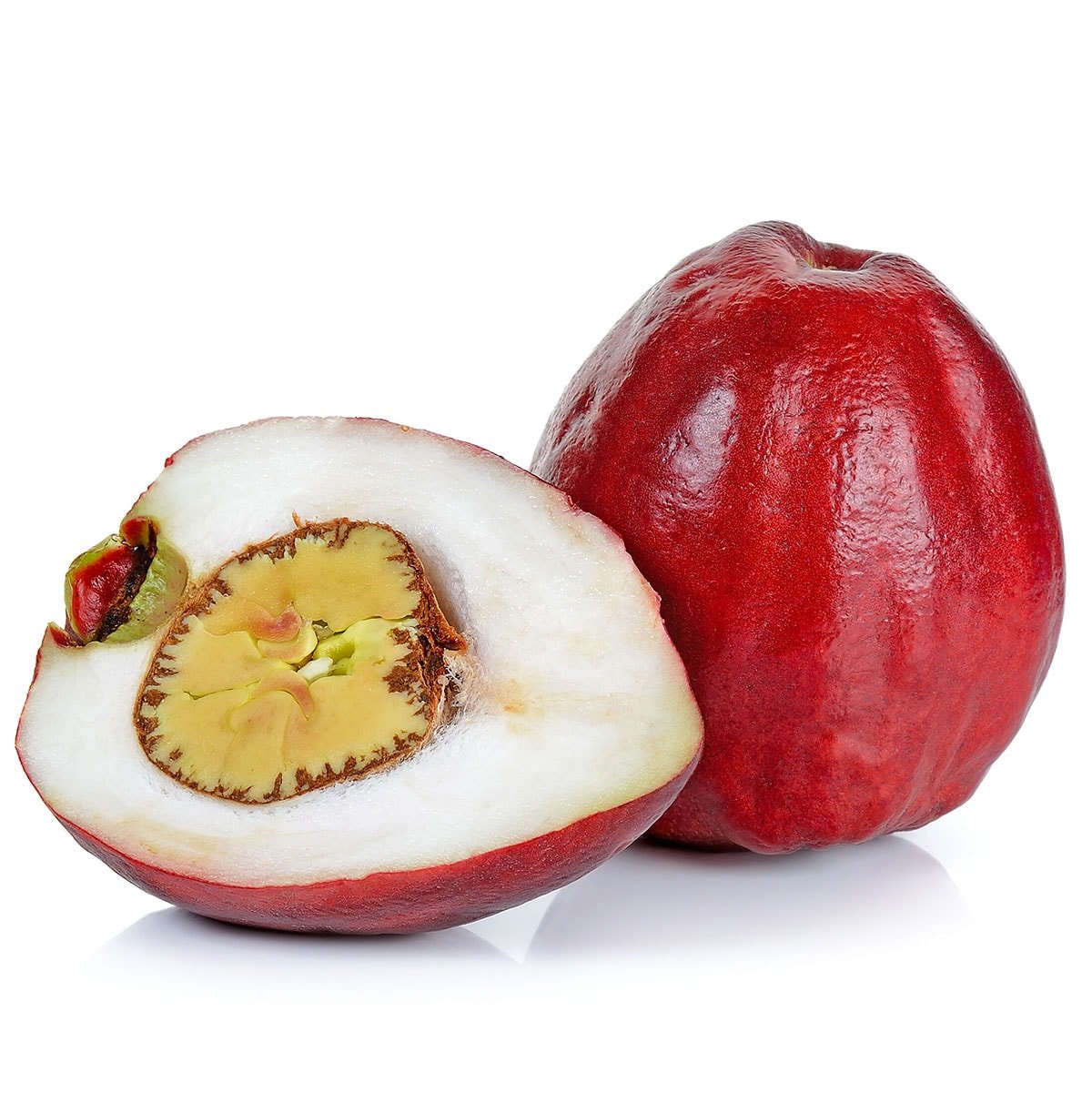 Otaheite Apple (Syzygium malaccense) Seeds