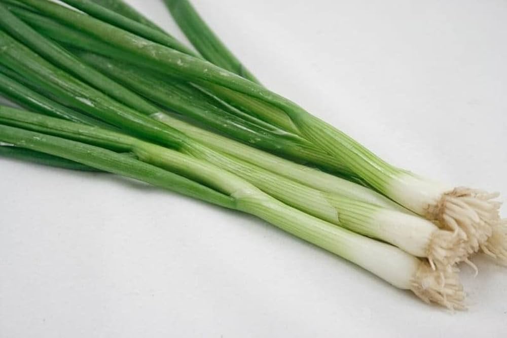 Japanese Indestructible White Bunching Onion Seeds – Hardy Scallion - Type Onions - Dharaseeds