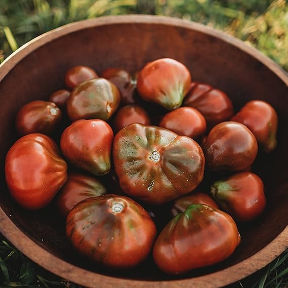 Japanese Trifele Black Tomato Solanum lycopersicum vegetable seeds for planting in backyard kitchen garden - Dharaseeds