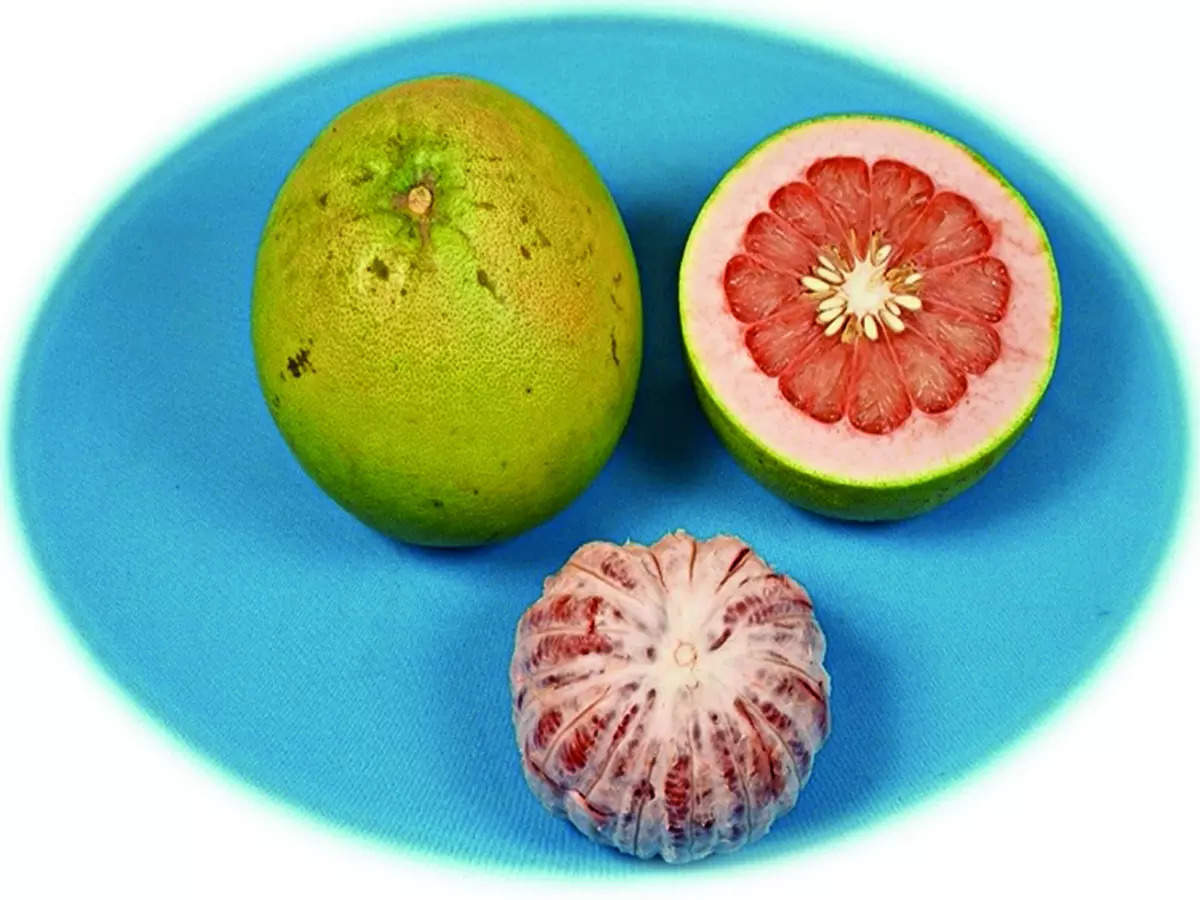 Pummelo (Citrus maxima) – Refreshing Sweet Citrus Fruit