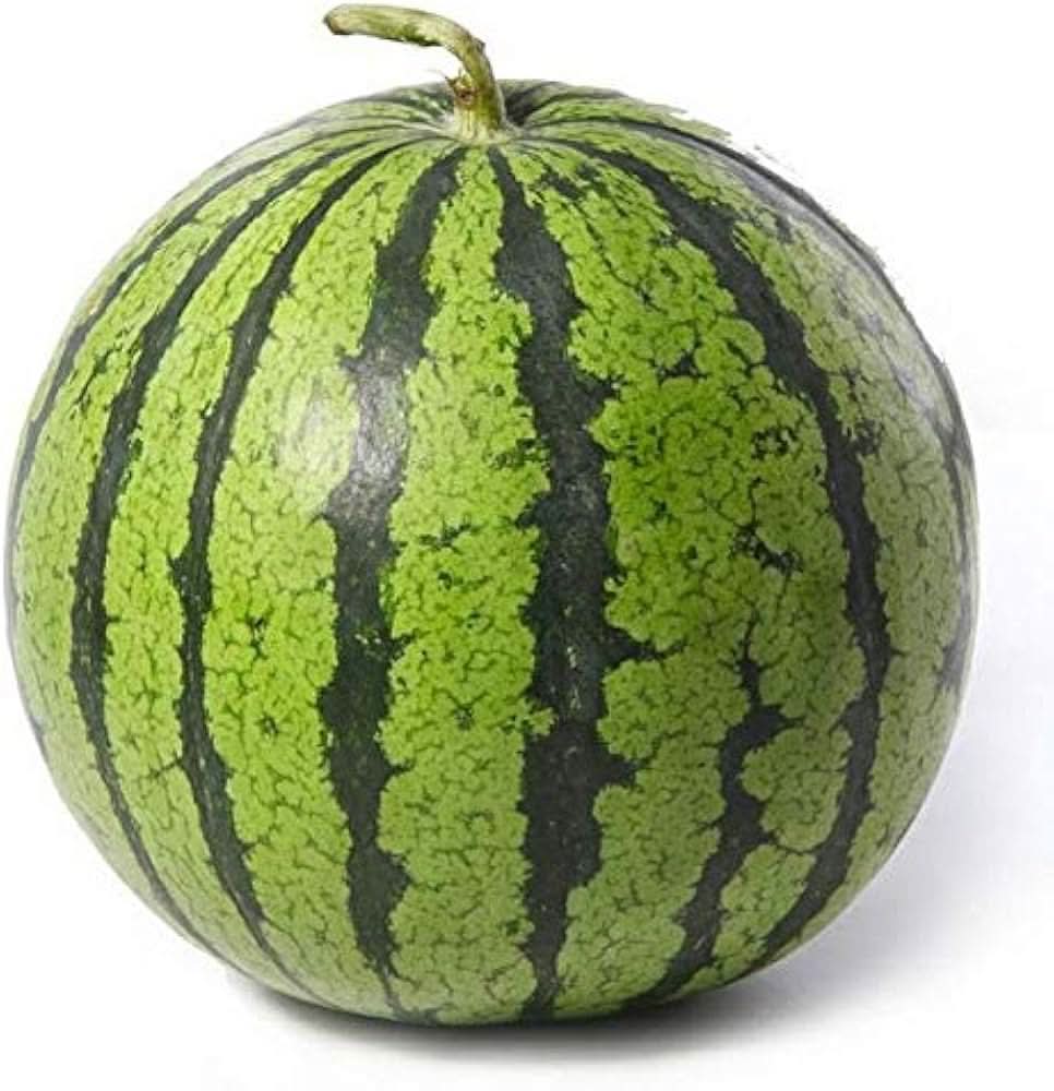 Juicy watermelon fruit grown from high quality seeds