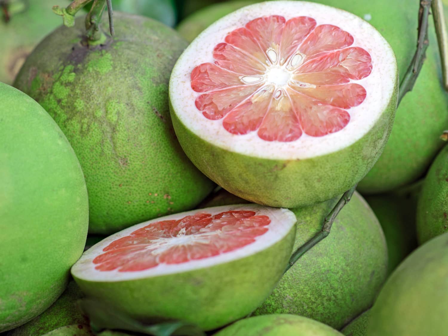 Pomelo (Citrus maxima) – Sweet, Refreshing Citrus Fruit with Mild Flavor