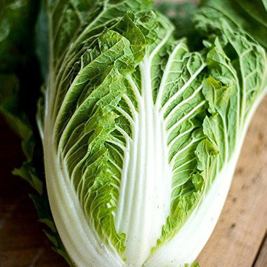 Kaboko Chinese cabbage seeds non GMO organic vegetable plant high yield