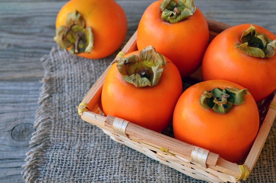 American Persimmon Seeds